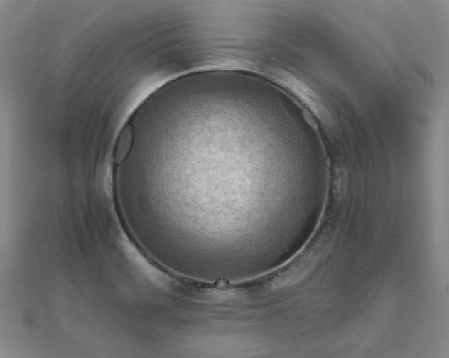 X0000111901468200908031106