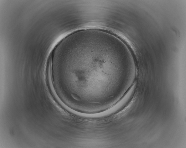 X0000111901469200908031106