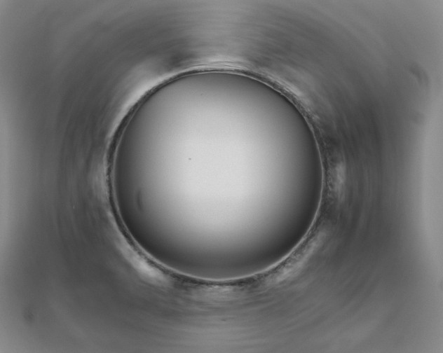 X0000111901470200908031106