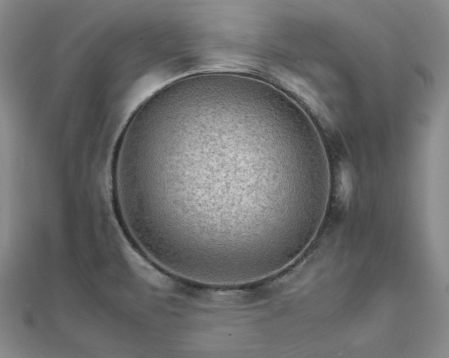 X0000111901471200908031106