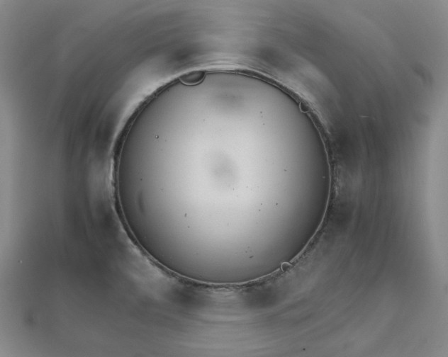 X0000111901472200908031106