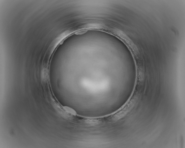 X0000111901473200908031106