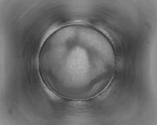 X0000111901474200908031106