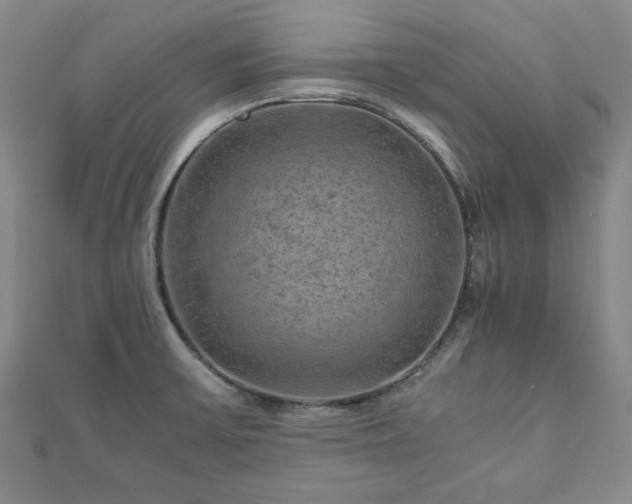 X0000111901475200908031106