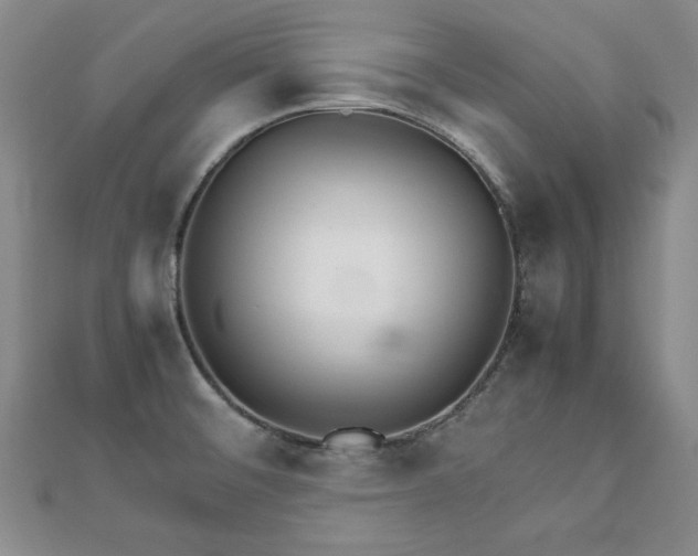 X0000111901476200908031106