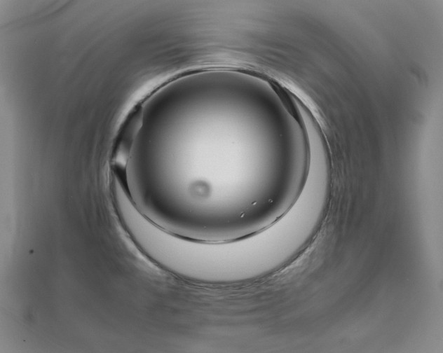 X0000111901477200908031106