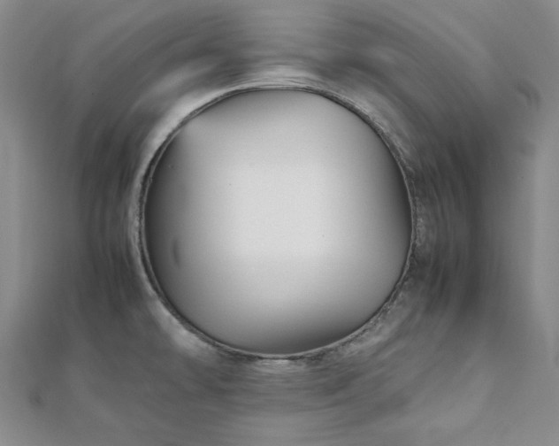 X0000111901478200908031106