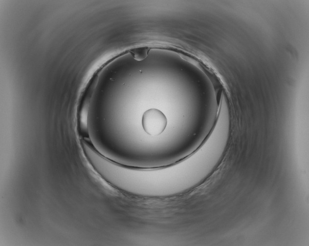 X0000111901480200908031106