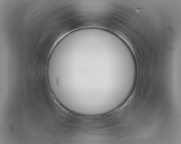 X0000111901481200908031106