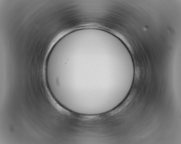 X0000111901482200908031106