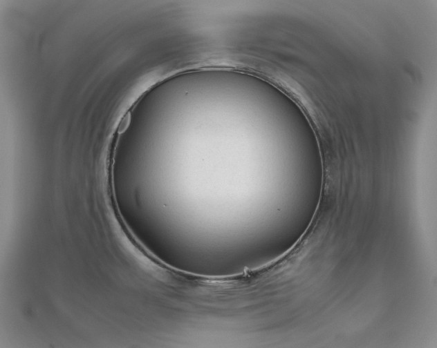 X0000111901483200908031106