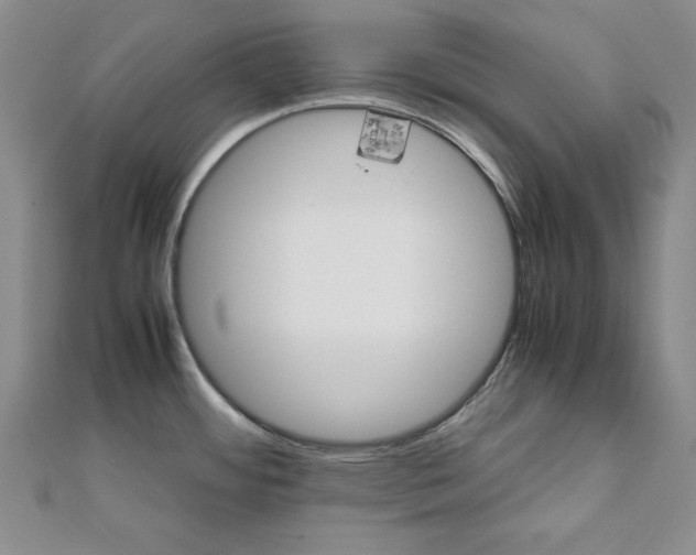 X0000111901484200908031106