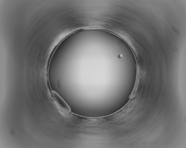 X0000111901485200908031106