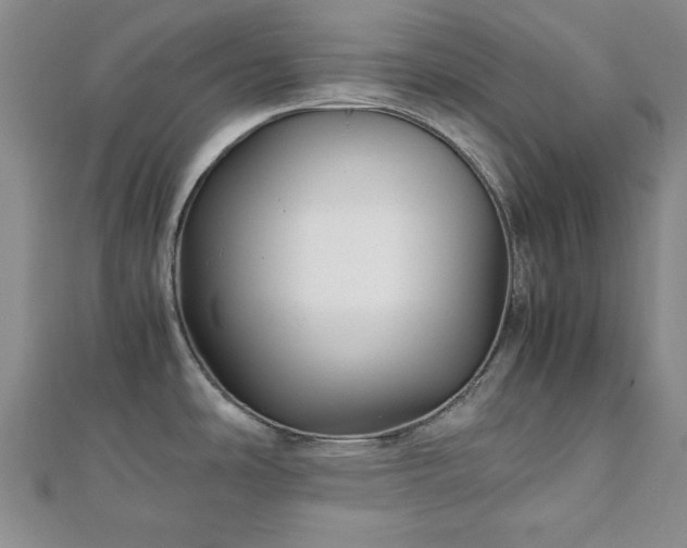 X0000111901486200908031106