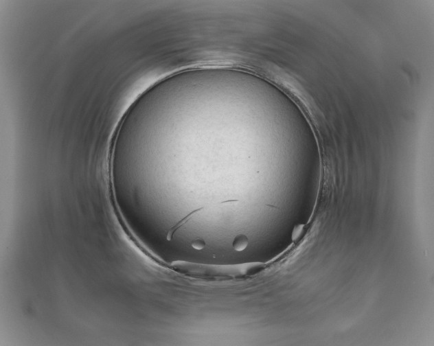 X0000111901487200908031106