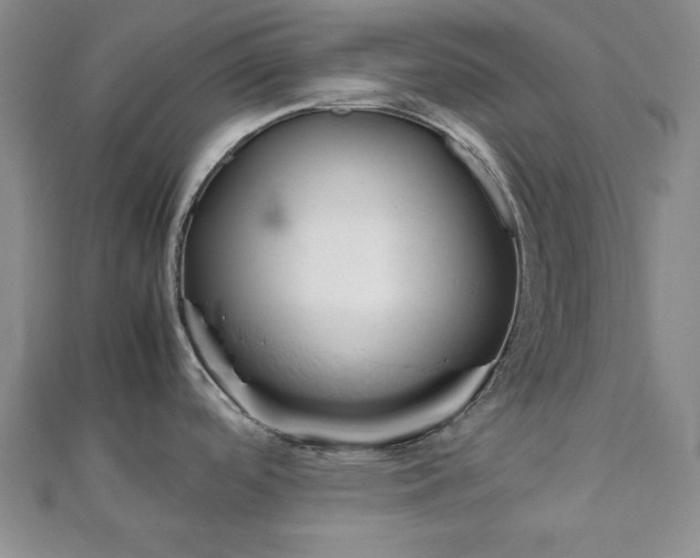 X0000111901488200908031106