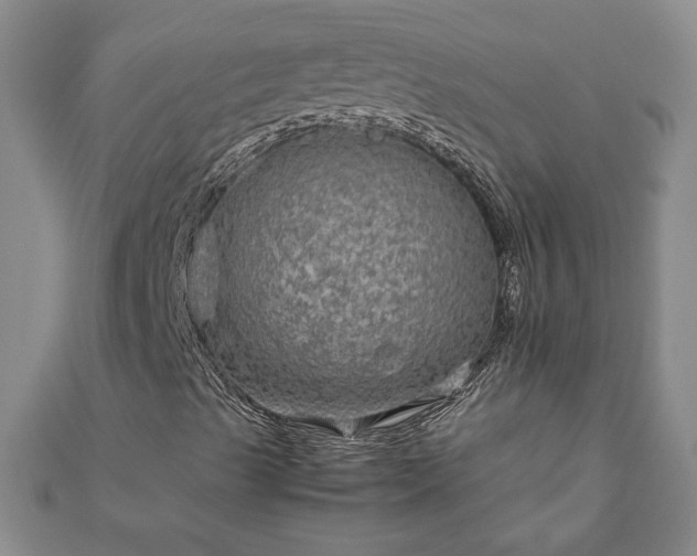 X0000111901489200908031105