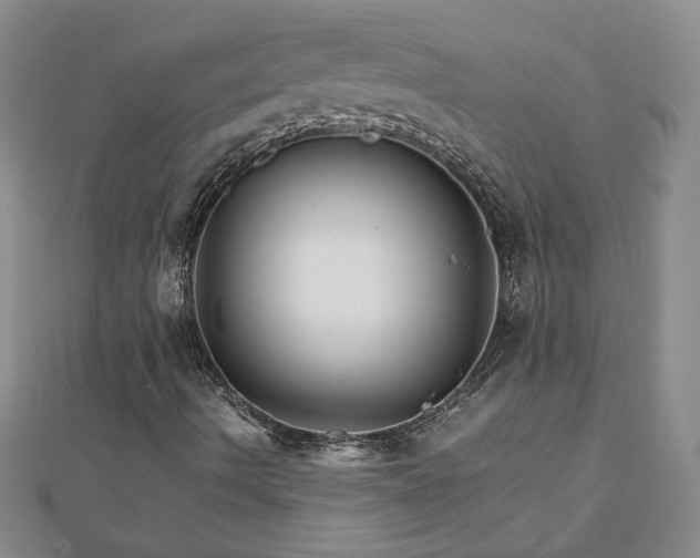 X0000111901490200908031105