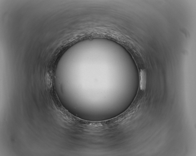 X0000111901491200908031105