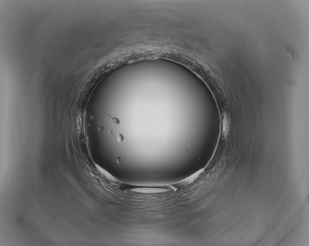 X0000111901492200908031105