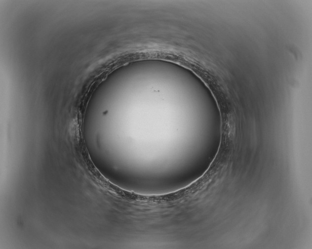 X0000111901493200908031105