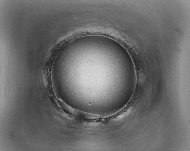 X0000111901494200908031105