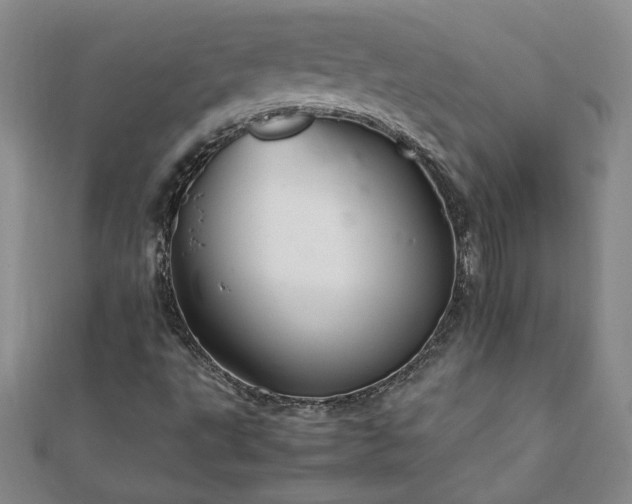 X0000111901495200908031105