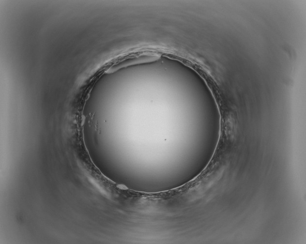 X0000111901496200908031105