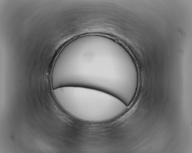 X0000111901497200908031105