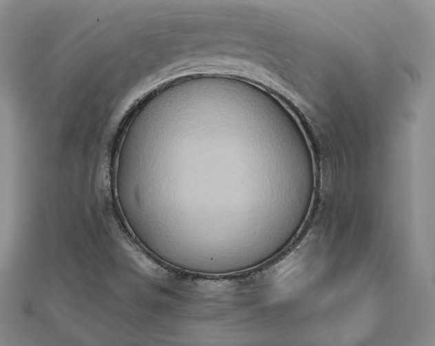 X0000111901498200908031105