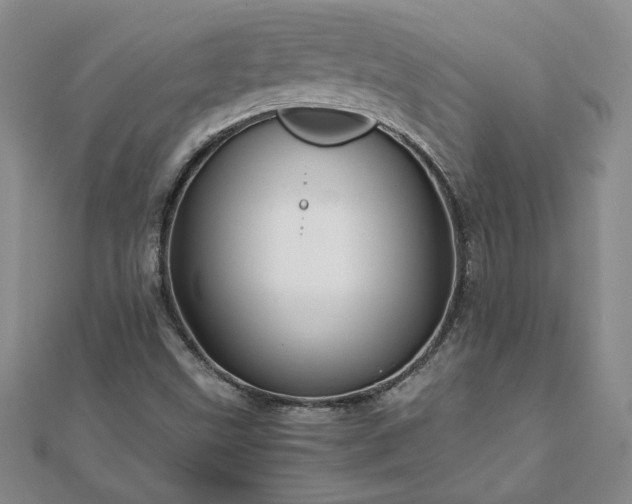 X0000111901499200908031105