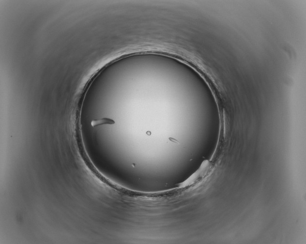 X0000111901500200908031105