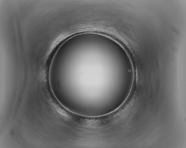 X0000111901501200908031105