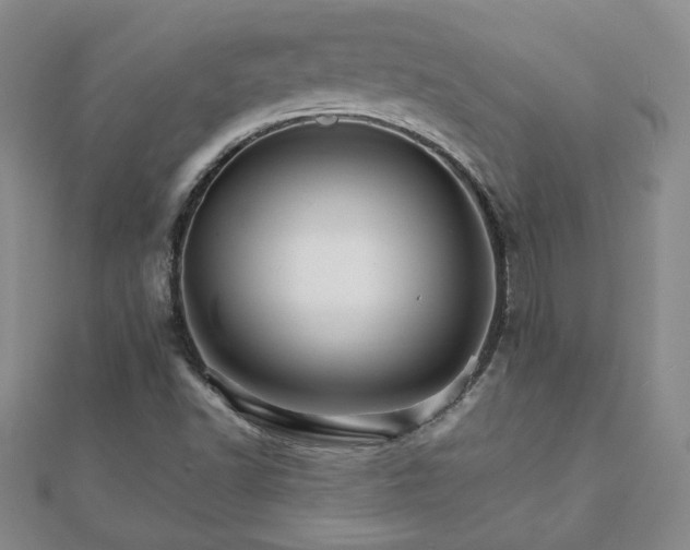 X0000111901502200908031105