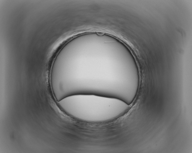 X0000111901503200908031106