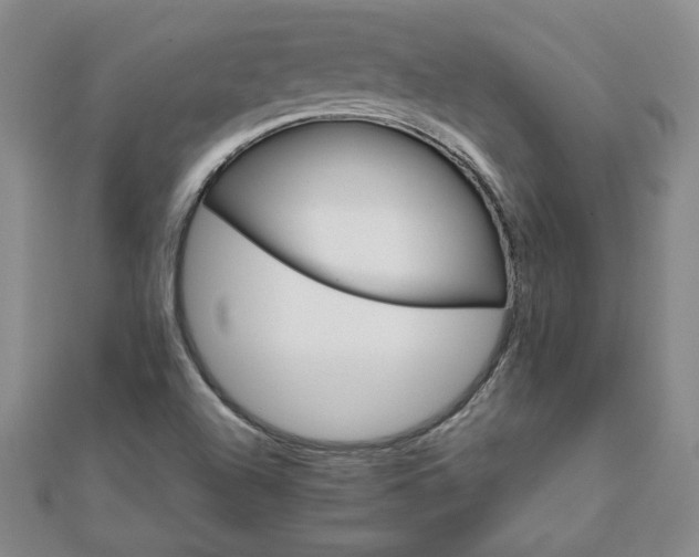 X0000111901504200908031106