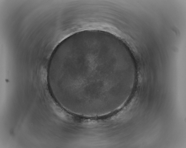 X0000111901505200908031106