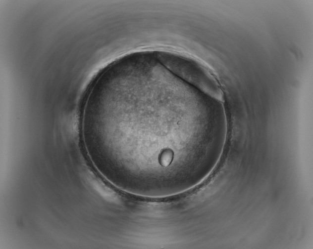 X0000111901506200908031106