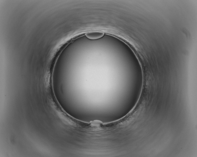 X0000111901507200908031106