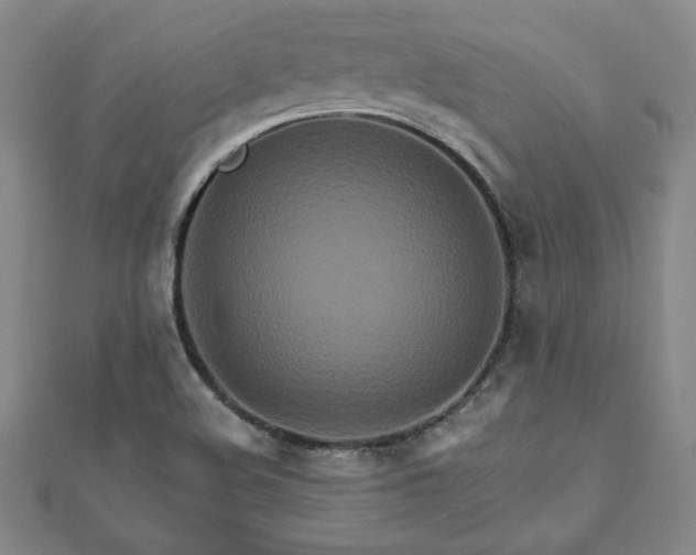 X0000111901508200908031106