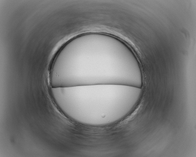 X0000111901509200908031106