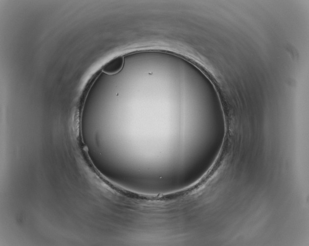 X0000111901510200908031106