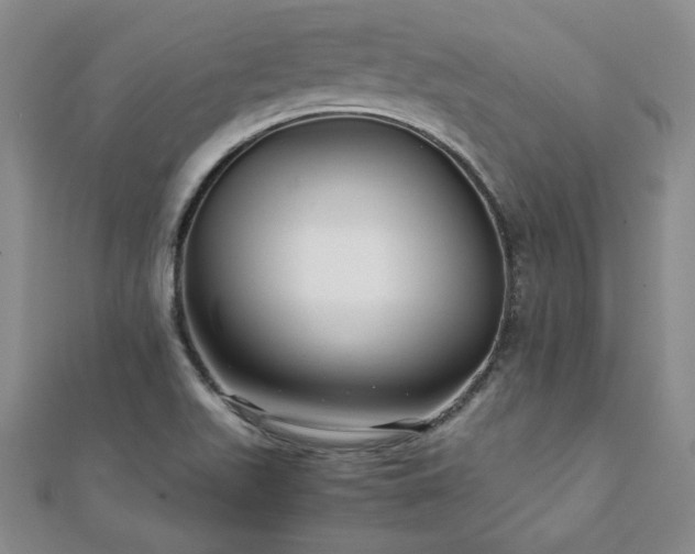 X0000111901511200908031106