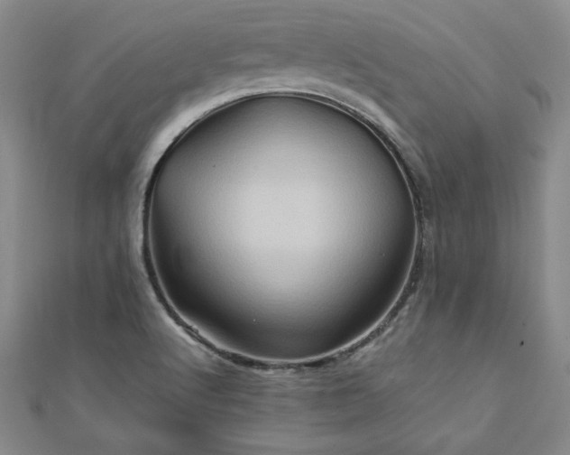 X0000111901512200908031106