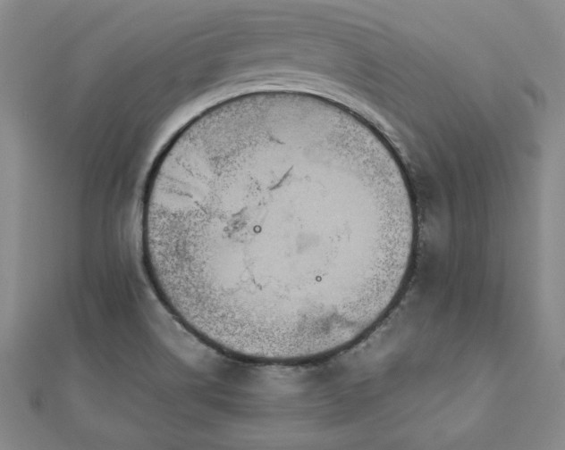 X0000111901514200908031106