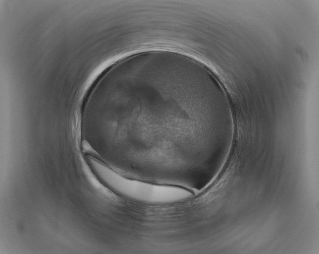 X0000111901515200908031106