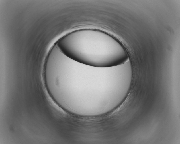 X0000111901518200908031106