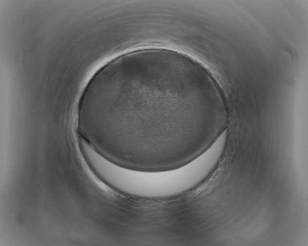 X0000111901519200908031106