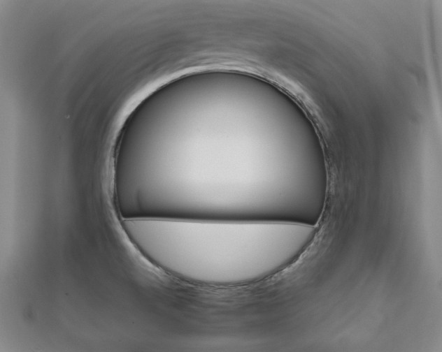 X0000111901520200908031106