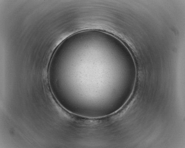 X0000111901521200908031106